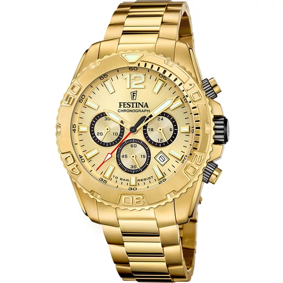Festina F20684/1